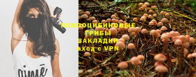 Галлюциногенные грибы Magic Shrooms  Вятские Поляны 